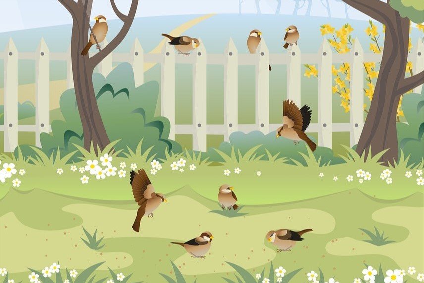 Image for Nature Crafts: Big Garden Birdwatch