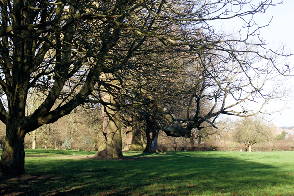 Image for Walk in the Park: Warrender Park
