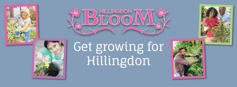 HiB banner HiB banner