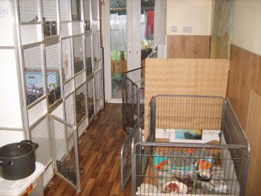 Animal cages in home of unlicensed animal business