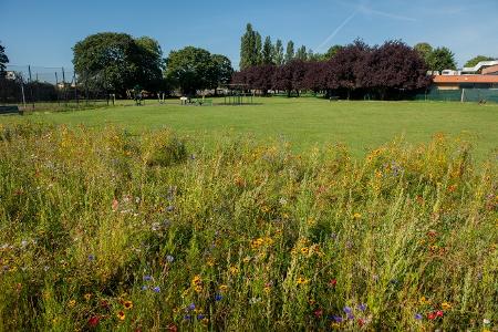 Harmondsworth Recreation Ground