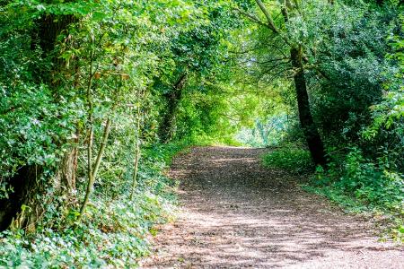 Hog's Back Open Space