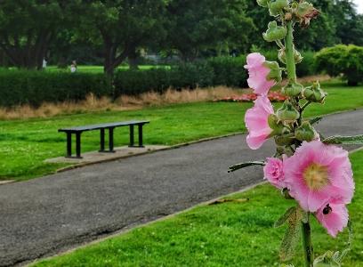 Northwood Recreation Ground