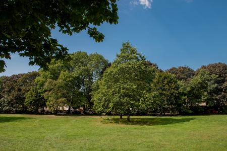 Pinkwell Park