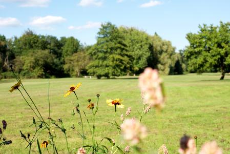 Swakeleys Park