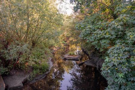 Yeading Brook Meadows